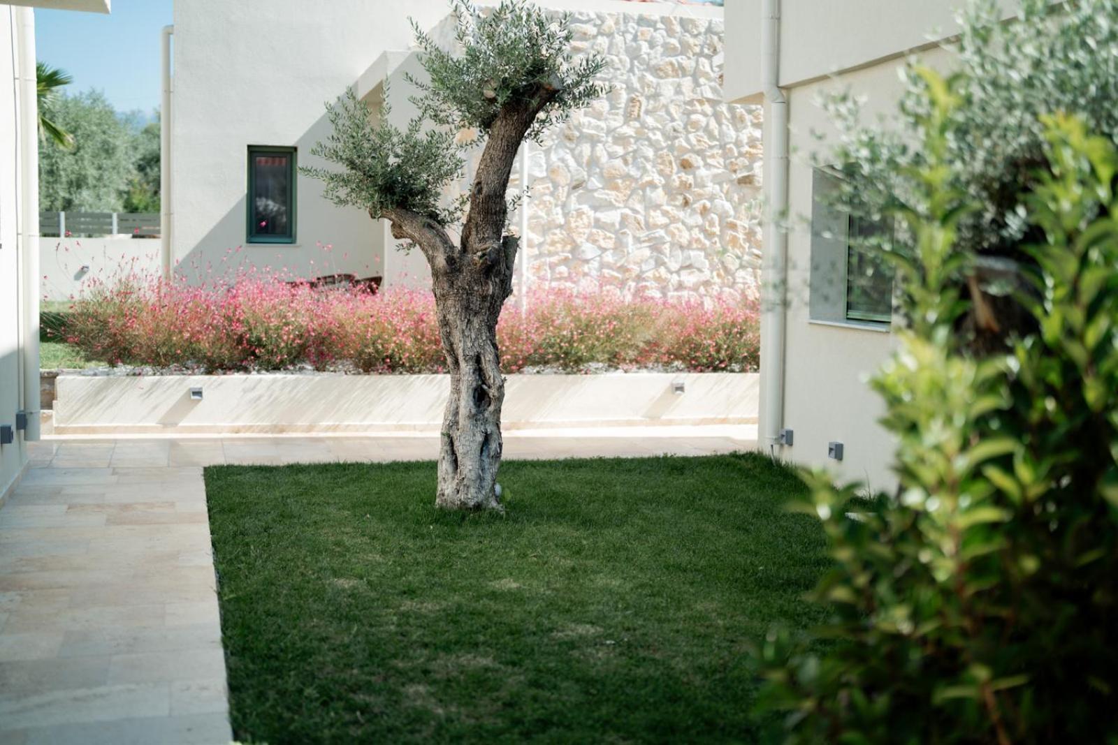 Magnolia Villas Potos Thassos Zewnętrze zdjęcie
