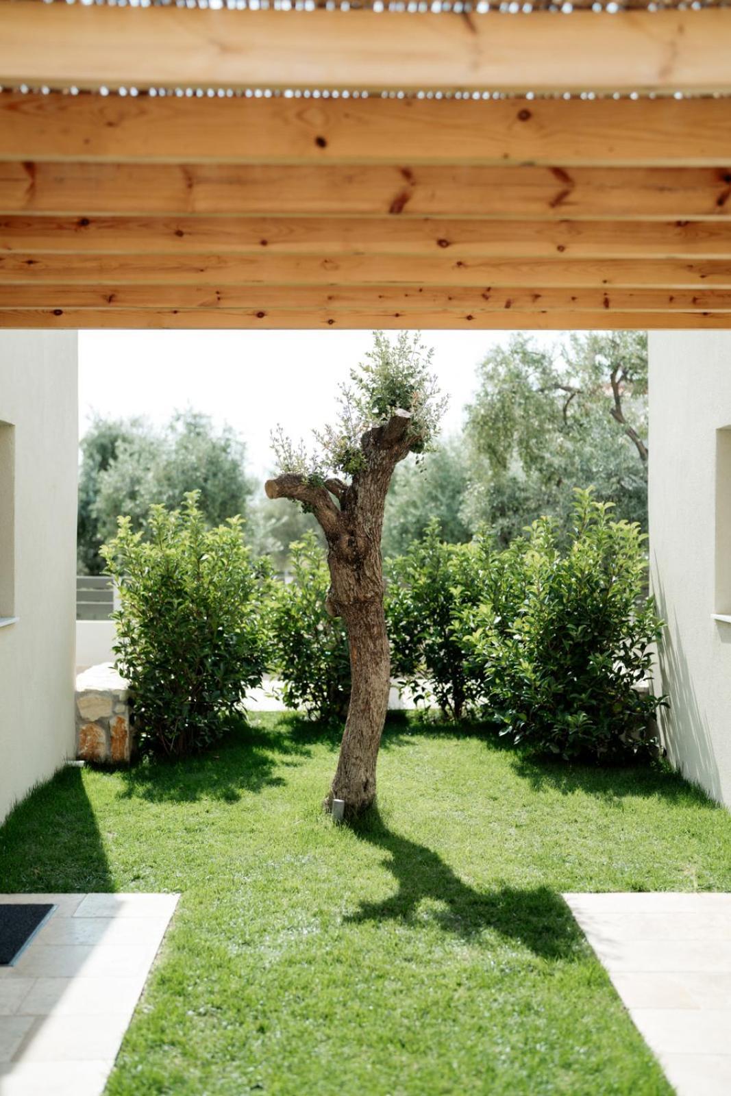 Magnolia Villas Potos Thassos Zewnętrze zdjęcie